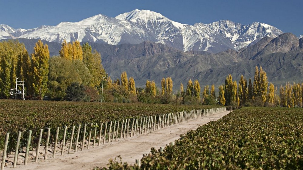 Salidas Grupales en avión Vacaciones de Invierno: Mendoza y Termas de Cacheuta