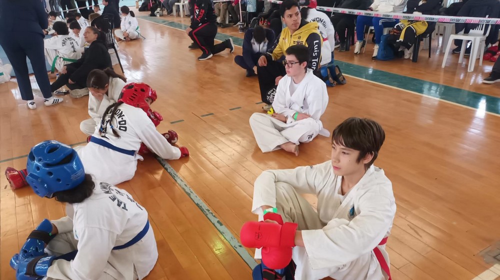 Taekwondotorneo20262