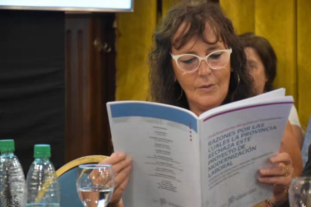 Fabiolareformalaboral1